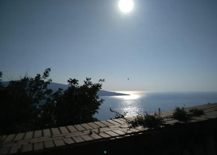 Grimaldi Guest Apartment