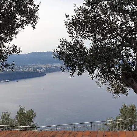 Apartament Grimaldi Guest *